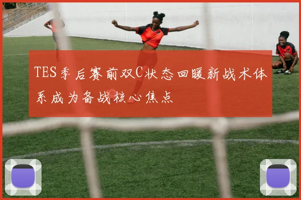 TES季后赛前双C状态回暖新战术体系成为备战核心焦点